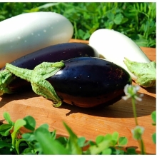 Баклажан Белый Бим Черное Ухо