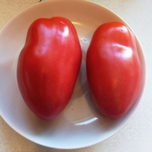 Томат Балтийский берег