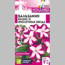 Бальзамин Беленс F1 Фиолетовая звезда
