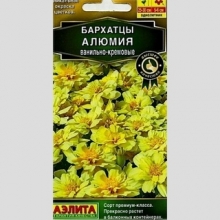 Бархатцы Алюмия Ванильно-кремовые