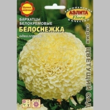 Бархатцы Белоснежка