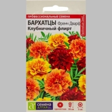 Бархатцы Френч Дварф Клубничный флирт