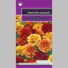 Бархатцы Хамелеон розовый