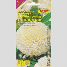 Бархатцы Пломбир F1