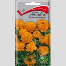 Бархатцы Купид Голден Оранж