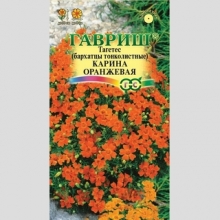 Бархатцы Карина оранжевая