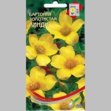Бартония Линди золотистая