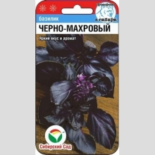 Базилик Черно-махровый