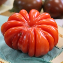 Томат Лотарингская красавица красная