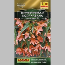 Бегония Копакабана F1 лососевая боливийская