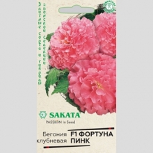 Бегония Фортуна Пинк F1 клубневая
