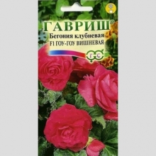 Бегония Гоу-гоу вишневая F1 клубневая