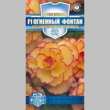 Бегония Огненный фонтан F1