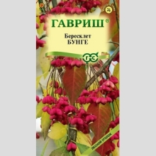 Бересклет Бунге