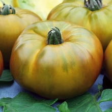 Томат Биг грин