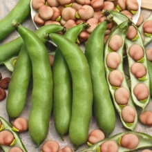 Бобы Велена