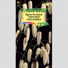 Бриза Амазонка большая (трясунка)