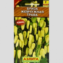 Бриза Жемчужная трава