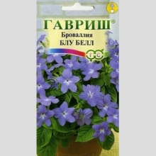 Броваллия Блу Белл