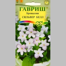 Броваллия Сильвер Белл