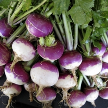 Брюква Счастья полна чаша