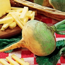 Брюква Баварская