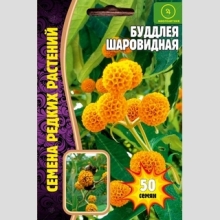 Буддлея Шаровидная (большой пакет)