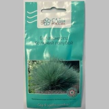 Булавоносец Колючий Голубой