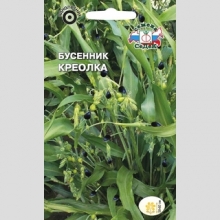 Бусенник Креолка