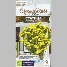 Статица Хипстер Еллоу