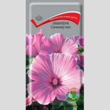 Лаватера Сильвер кап