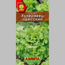 Салат Кучерявец Одесский (полукочанный)