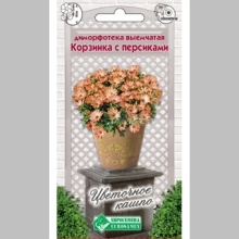 Диморфотека Корзинка с персиками (выемчатая)