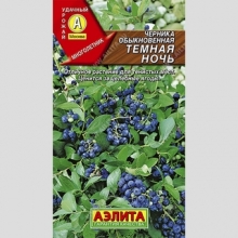 Черника Темная ночь обыкновенная