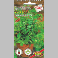 Черноголовник Резус (кровохлебка)