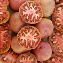 Томат Чероки розовый (Cherokee Rose) (Ограниченная серия)