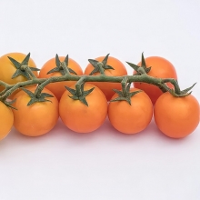 Томат Черри Кирино F1