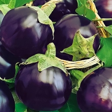 Баклажан Чисанчи