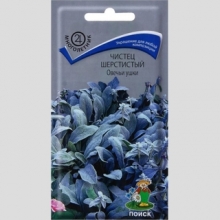 Чистец Овечьи ушки (Стахис) шерстистый