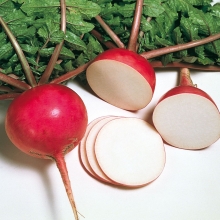 Редька Мисато Ред (дайкон) (Саката)