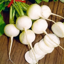 Дайкон Саша