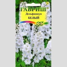 Дельфиниум Белый