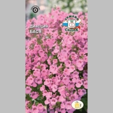 Диасция Бася