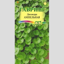 Дихондра Ампельная