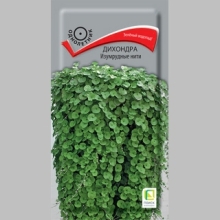 Дихондра Изумрудные нити