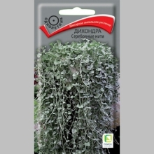 Дихондра Серебряные нити