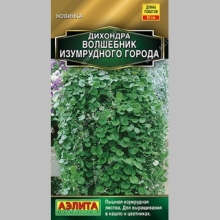 Дихондра Волшебник Изумрудного города