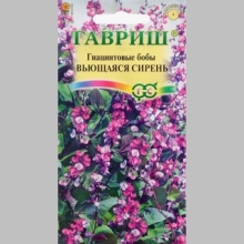 Долихос Вьющаяся сирень (Гиацинтовые бобы)