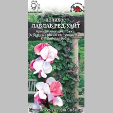 Долихос Лаблаб Ред уайт