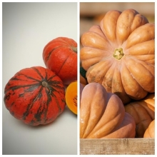 Дуэт Тыква Медовый пирог + Конфетка